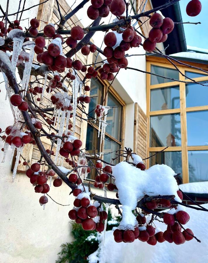 Hotel Stary Mlyn Jesenik Bagian luar foto